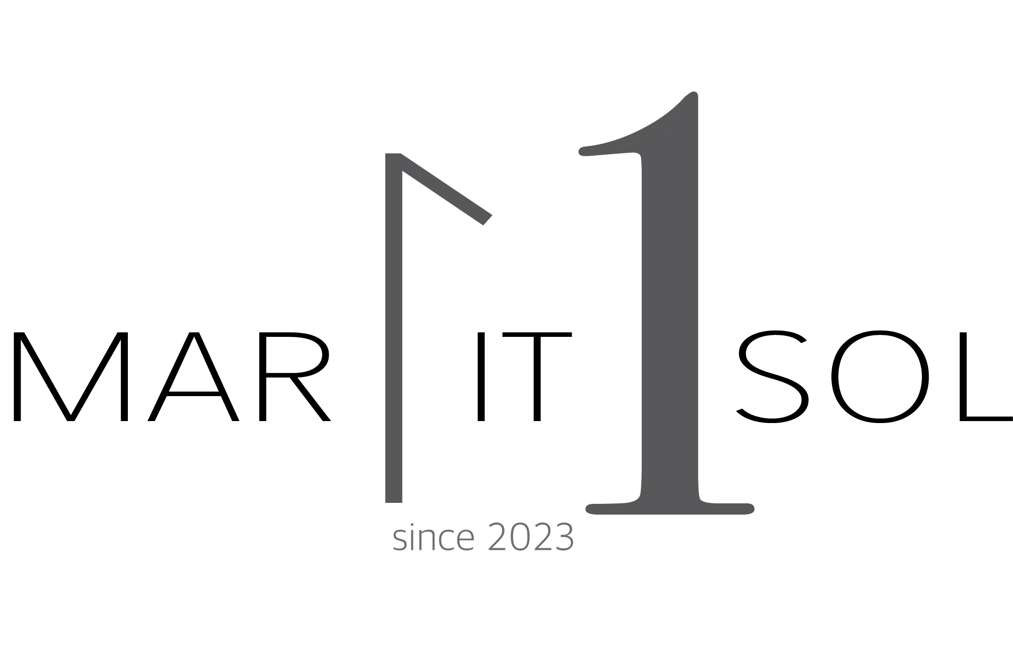 Softwareentwickler und Webentwickler in Wien, Österreich - MarItSol